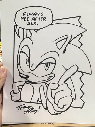 Sonic The Hedgehog